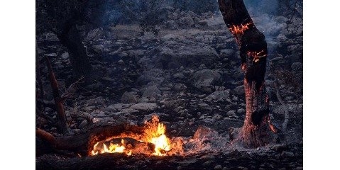 منابع طبیعی گیلان برای مقابله با آتش سوزی در جنگل ها در حالت آماده باش قرار دارد