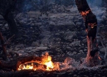 منابع طبیعی گیلان برای مقابله با آتش سوزی در جنگل ها در حالت آماده باش قرار دارد