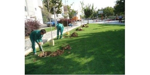  ضرورت جایگزینی چمن‌کاری با گیاهان بومی زیست بوم تهران در شهرداری منطقه ۱۸