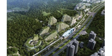 احداث ۳۰۰ شهر جنگلی در چین با هدف بهبود محیط زیست