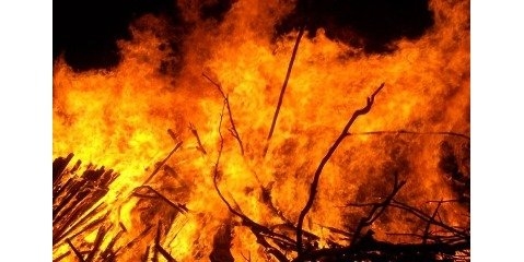 آتش سوزی در ۶ هکتار از جنگل‌های ارسباران