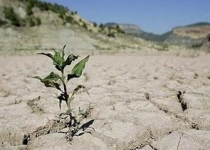  مدیریت نکردن بحران آب، کشور را دچار ورشکستگی آبی کرده است