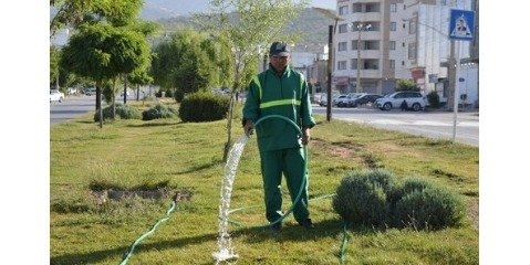 پیمانکاران متخلف فضای سبز در پی آبیاری نامناسب جریمه می شوند