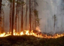 ایتالیا و نروژ هواپیماهای آتش نشانی را برای کمک به  آتش‌سوزی‌ سوئد فرستادند