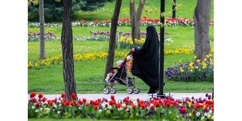 یافتن گیاهان مناسب برای جایگزینی با چمن ضرورت  دارد یافتن گیاهان مناسب برای جایگزینی با چمن ضرورت  دارد