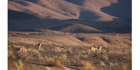 پارک ملی سیاه کوه یکی از ناشناخته‌ ترین مناطق حفاظت شده دنیا است