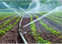کمک ۲۰ هزار میلیارد تومانی صندوق توسعه ملی به آب و کشاورزی