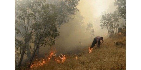 آتش‌سوزی در جنگل‌های اطراف مریوان چهار کشته داد