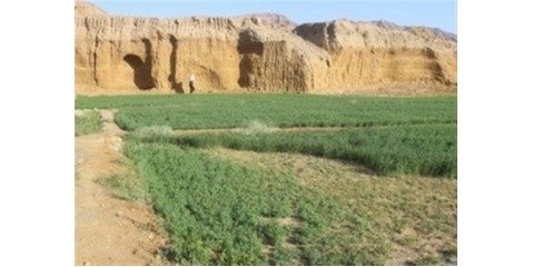 ورود گردشگران در یک روستای بیابانی با ۱۱۷ نفر جمعیت 