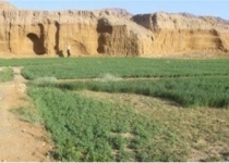 ورود گردشگران در یک روستای بیابانی با ۱۱۷ نفر جمعیت 