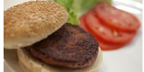  آیا مصرف همبرگر به محیط زیست آسیب می زند