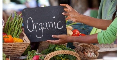 اهمیت محصولات ارگانیک و سالم در سلامت انسان