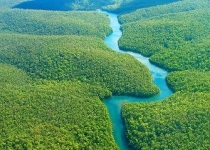 تغییرات آب و هوایی و فاجعه در آمازون
