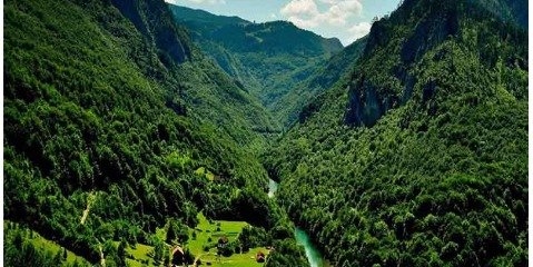 معرفی زیباترین جنگل های ایران