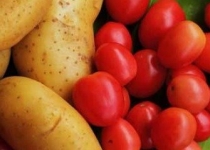 ممنوعیت صادرات سیب زمینی و رب گوجه از ۲۰ مهر
