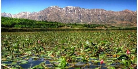 زیباترین و مهم ترین تالاب های بین المللی ایران