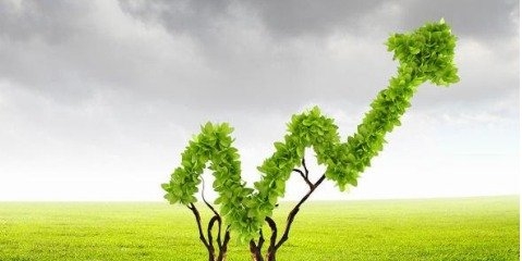 مسیر سبز اقتصاد، به سوی رفاه اجتماعی