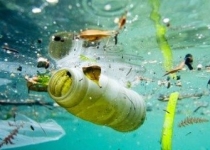 زباله‌های پلاستیکی قاتل خاموش ماهیان