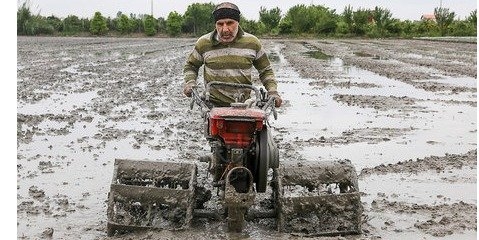  فرسایش خاک در مازندران تشدید می شود