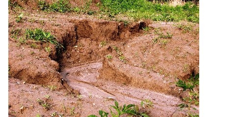 عدم وجود متولی حفاظت خاک در ایران