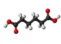 آدیپیک اسید طرحی مناسب جهت تولید مواد زیست‌ توده در یک اقتصاد زیست‌ پایه