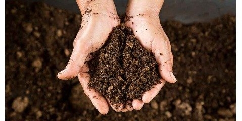 لایحه کلیدی در پیشگیری از گسترش آلودگی خاک