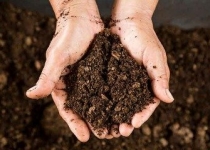لایحه کلیدی در پیشگیری از گسترش آلودگی خاک