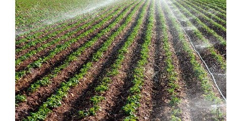 کنترل و صرفه جویی مصرف آب  کشاورزی  برای حل بحران خشکسالی
