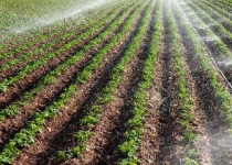 کنترل و صرفه جویی مصرف آب  کشاورزی  برای حل بحران خشکسالی