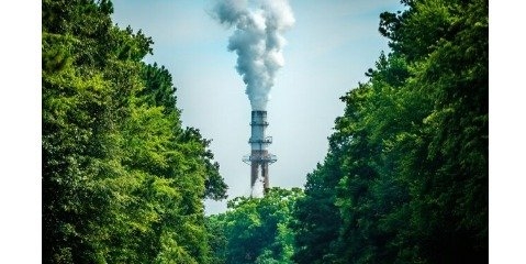 روش سبز محققان کشور در کاهش انتشار گازکربنیک/ ممنوعیت خروج چوب از آذربایجان شرقی