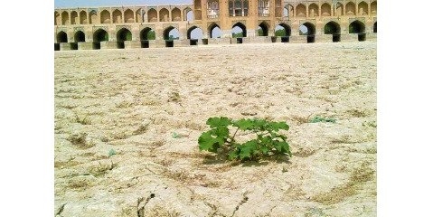 کاهش پوشش گیاهی با کاهش بارندگی ارتباط مستقیم دارد