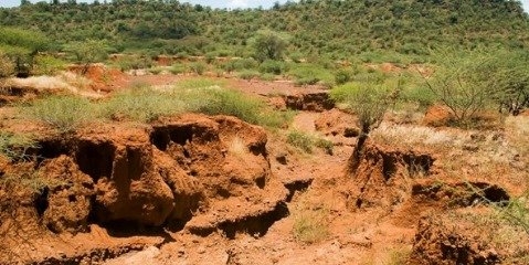 آلودگی خاک‌ها امنیت غذایی را تهدید می‌کند 