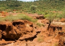 آلودگی خاک‌ها امنیت غذایی را تهدید می‌کند 