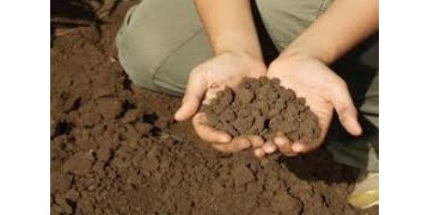 ابهام در مورد قاچاق خاک از ایران