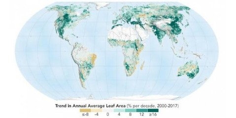 چین و هند کره زمین را  سبزتر کرده اند