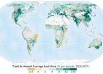 چین و هند کره زمین را  سبزتر کرده اند