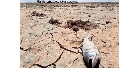 عدم تامین حق آبه های زیست محیطی تالاب ها را در معرض خشکی قرار داده است 