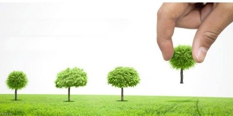 کاشت درخت، تعامل سازنده انسان و زمین