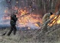 قصور انسانی علت اکثر آتش سوزیهای جنگل و نیمی از جنگلهای خراسان شمالی در معرض آتش سوزی 