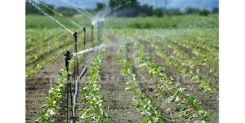 کاهش مصرف آب در کشاورزی راه نجات ایران از بی‌آبی
