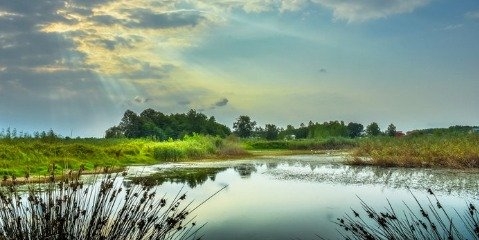  کاهش تراز آبی دریای خزر  تالاب انزلی را  تهدید می کند