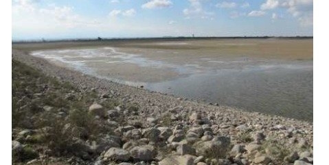 حقابه دریاچه ارومیه برخی تالاب‌ها را با مشکل کم آبی مواجه کرده است