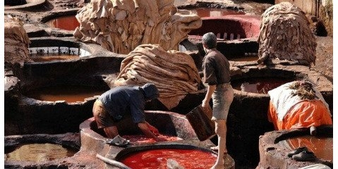 در چرم‌ پوشی خشونت بزرگی از سر حیوانات می گذرد