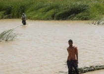 حدود ۲۰ درصد کل مساحت هامون آبگیری شده است