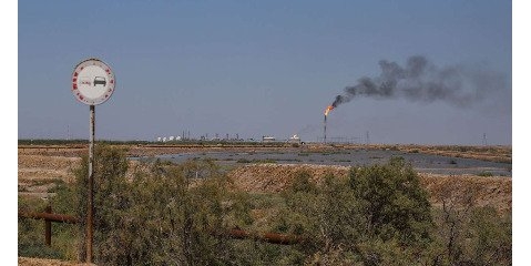  فعالان زیست محیطی خواستار حذف جاده های هورالعظیم شدند 