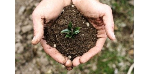 اهمیت حفظ سلامت خاک در چیست