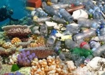 نفوذ زباله های پلاستیکی در اعماق اقیانوسها و سوءمدیریت پسماند