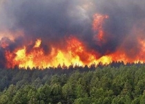 اجرای طرح نجات شمشادهای شمال کشور/ آتش سوزی در جنگلهای شمال شرق خوزستان