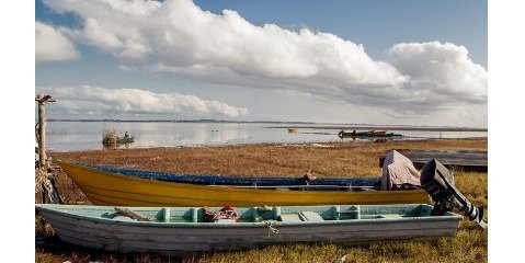 خشکی بیش از ۴۰ درصدی تالاب انزلی