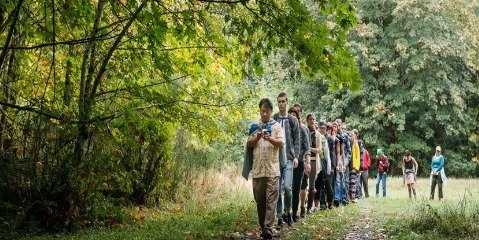 درمان و پیش گیری از بیماری ها توسط اکوسیستم طبیعی جنگل